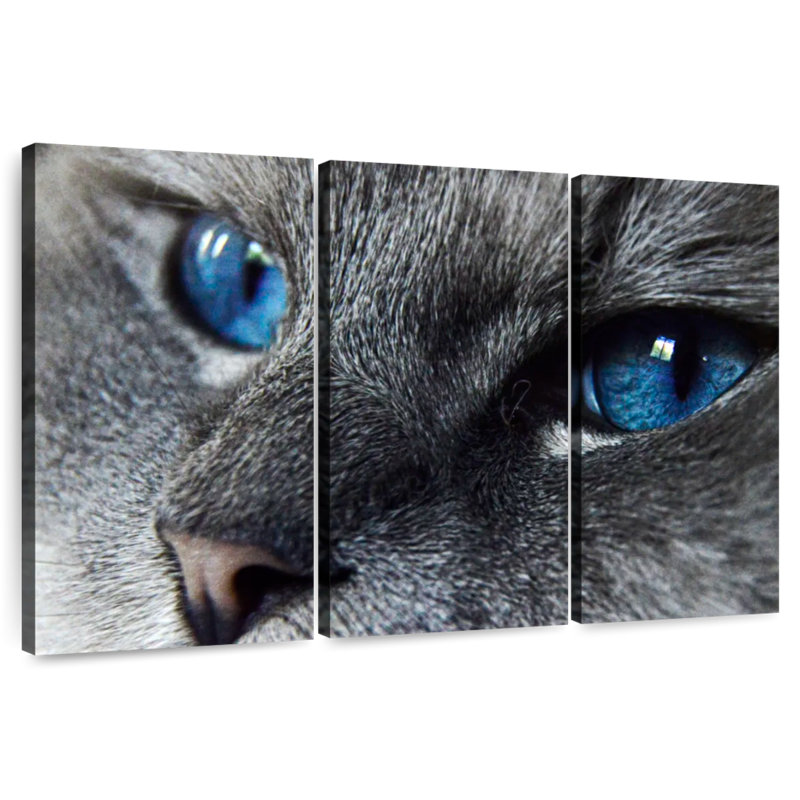 Brampt Cat Blue Eyes, 28" H x 45" W