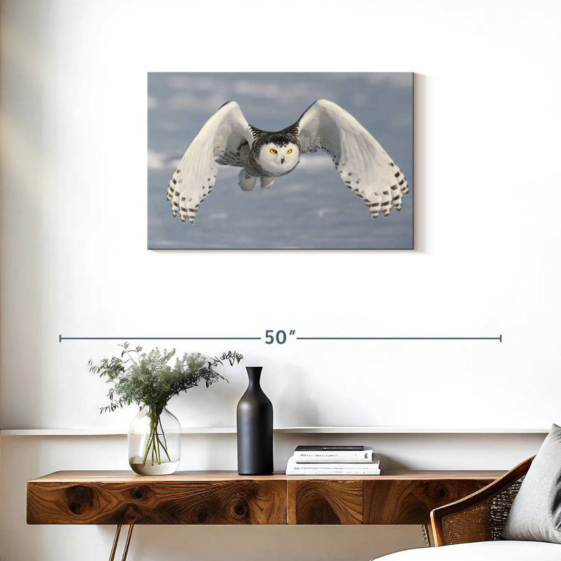 Brampt Owl In Winter, 20" H x 30" W