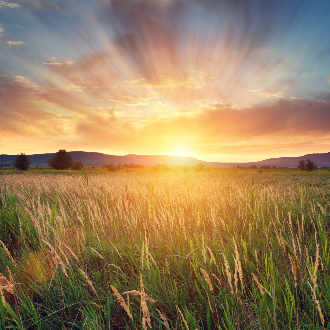 Sommer-Sonnenuntergang von Mammuth - Drucken