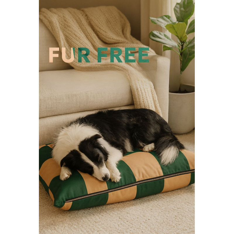 Lit pour animal de compagnie, Vert / Beige