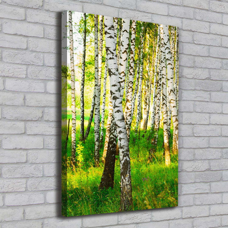 Birch Forest - Wrapped Canvas Print