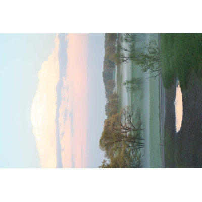 Landscape & Nature Non-Wall Damaging Wall Decal