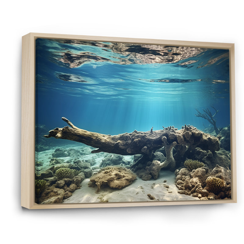 Corail au bord de la mer - plage et océan, impressions sur toile, Cadre naturel flottant, H 24 po x l 32 po x P 1 po