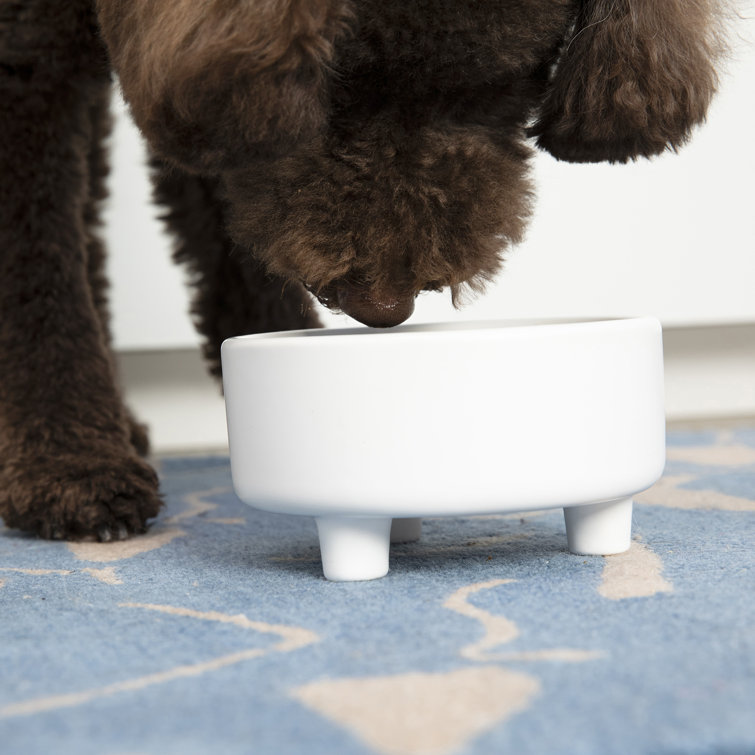 Two-Toned Double Wall Insulated Dog & Cat Stainless Steel Feeder Food Bowl/Dish FluffyPaw Color: Pink