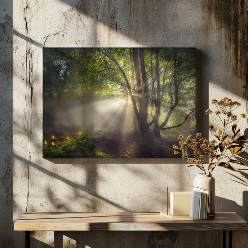 Wrapped Canvas Print, 50.8 cm H x 76.2 cm W