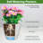 Self Watering Plant Pots Indoor-1507783040