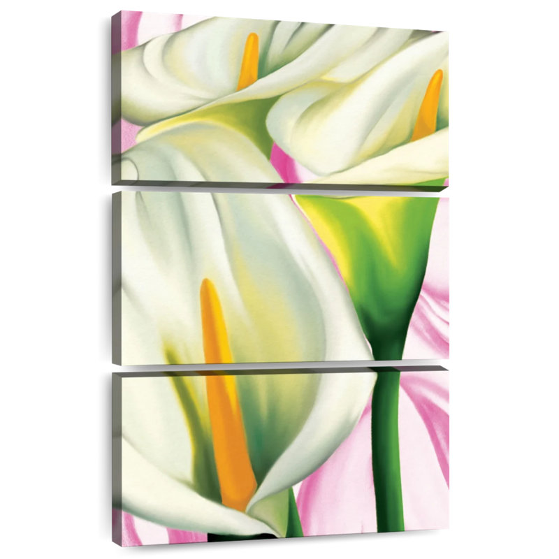 Harnek Calla Lis, H 45 po x l 28 po