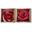 Wild Wild - 2 pièces encadrées sur toile-314267095-314267094