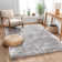 Mcclain Silver/Grey Shag Soft Area Rug