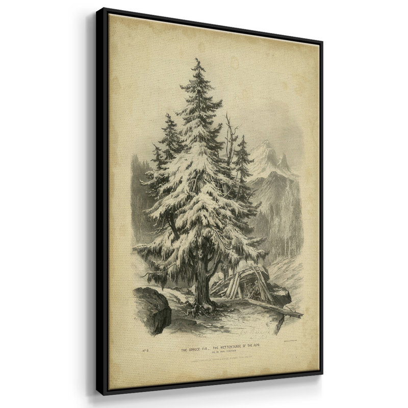 The Spruce, reproduction d'art sur toile, Cadre flottant noir, H 25 po x l 17 po x P 1,5 po