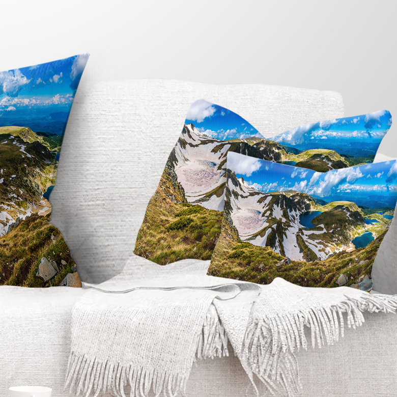 Throw Pillow