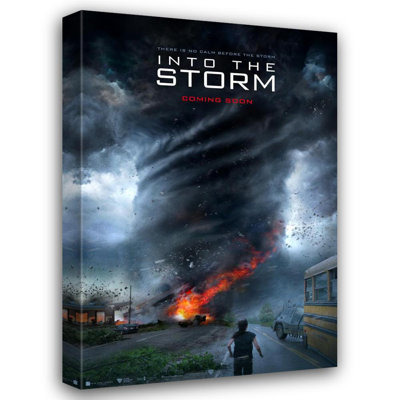 Into the Storm
