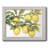 " Ripe For Picking II "-1849833554