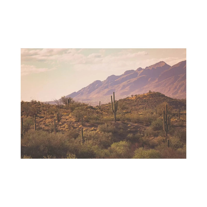 Tucson Sunrise by Ann Hudec - Wrapped Canvas Print, 20.32 cm H x 30.48 cm W