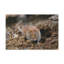 No Frame Print on Canvas-1751458035