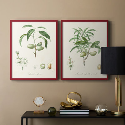 Antique Almond Botanical I-Premium Framed Print -Ready to Hang - No Nails Required - No Nails Required