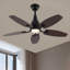 Ventilateur de plafond à 5 pales de 42 pouces avec télécommande et ensemble d'éclairage inclus-673321446