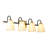 4 - Light Dimmable Vanity Light