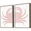 Crabe tacheté S / 2