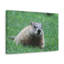 No Frame Print on Canvas-551045348