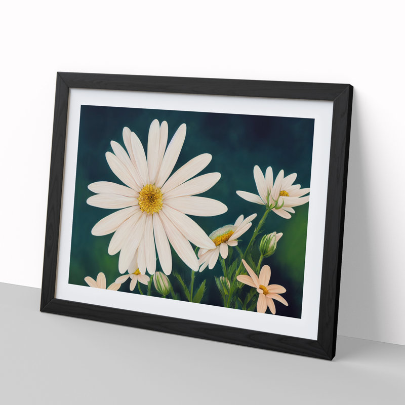 Illuminating Daisy Flowers - Single Picture Frame Print, 46cm H x 64cm W, Black