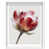 White Shadowbox