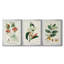 Turpin Tropical Botanicals IV - Toile tendue avec châssis sur mesure - 3 pièces-655088472-655088478