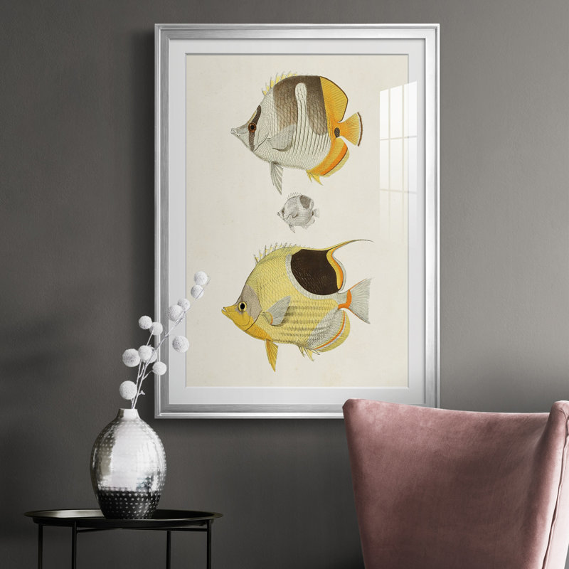 Poisson jaune et gris II - imprimé, Cadre argenté, H 30,5 po x l 22,5 po x P 1 po