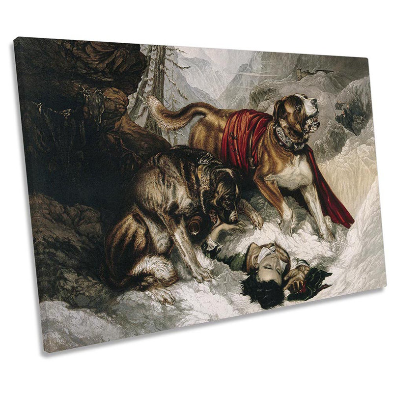Wrapped Canvas Print, 40.6cm H x 61cm W x 2cm D