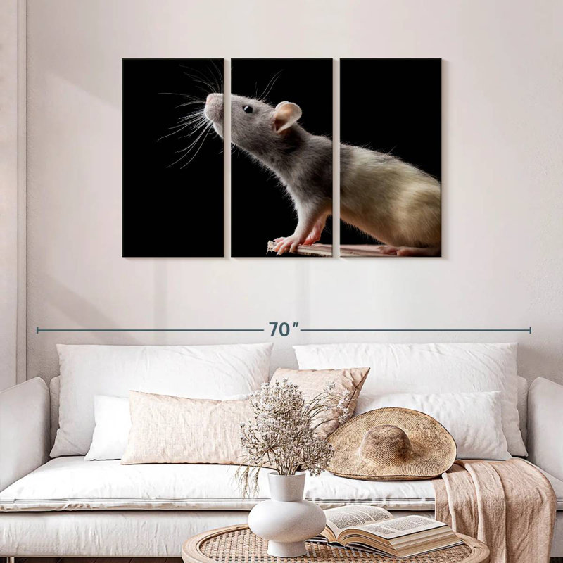 Brampt Rat Close Up, 28" H x 45" W