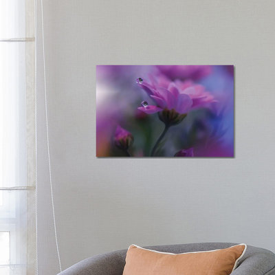 All Of Me by Juliana Nan - Wrapped Canvas Print