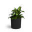 Pot à fleurs rond Byron-95288578-95288589-184169561