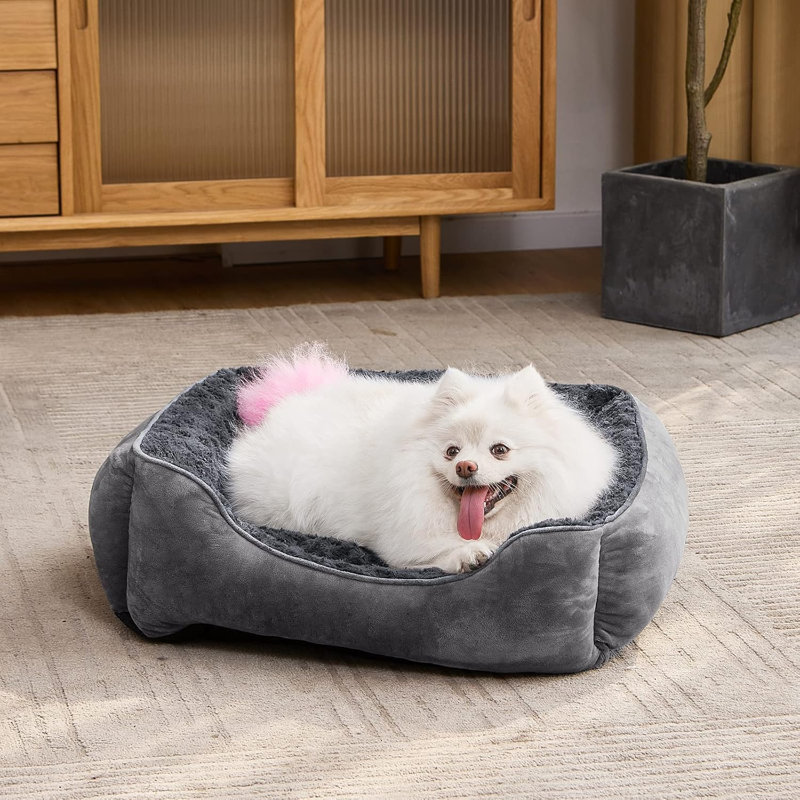 Lit pour chien JOEJoy, Gris, Moyen (l 25 po x P 21 po x H 8 po)