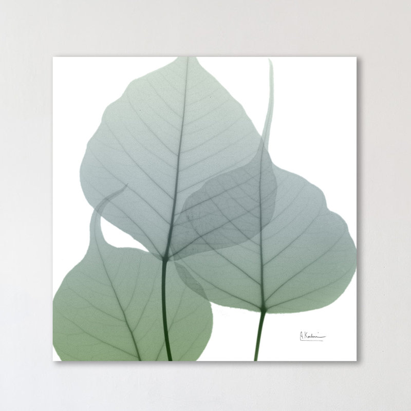 Rainy Bo Tree - Wrapped Canvas Print, 30 cm H x 30 cm W