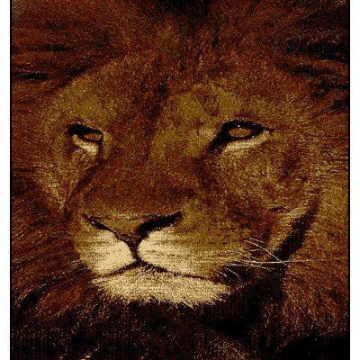 Tapis Patchen King of the Jungle