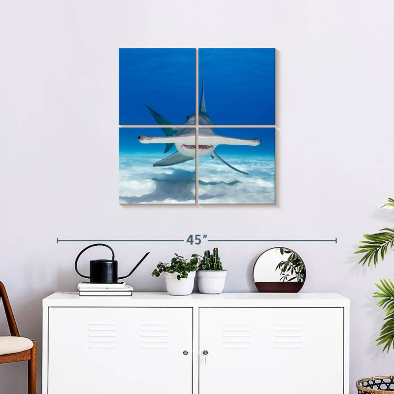 Brampt Hammerhead Shark Swimming, 57" H x 57" W