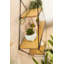 Hagedorn 3 Piece Diamond Bracket Shelf