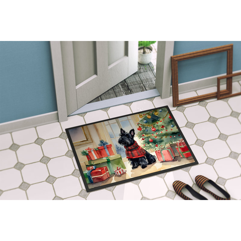 Tapis d'entrée antidérapant Jesseca, L 24 po x L 36 po