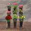 Présentoir à fleurs Présentoir à fleurs à 3 niveaux avec 9 seaux