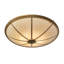 8 - Light Semi Flush Mount