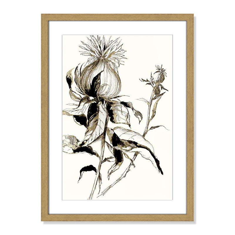 Botanical Seed II par - impression, H 23 po x l 17 po x P 0,75 po, Encadré naturel