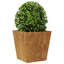 Aldegundo Metal Elevated Planter-239364022-239364007