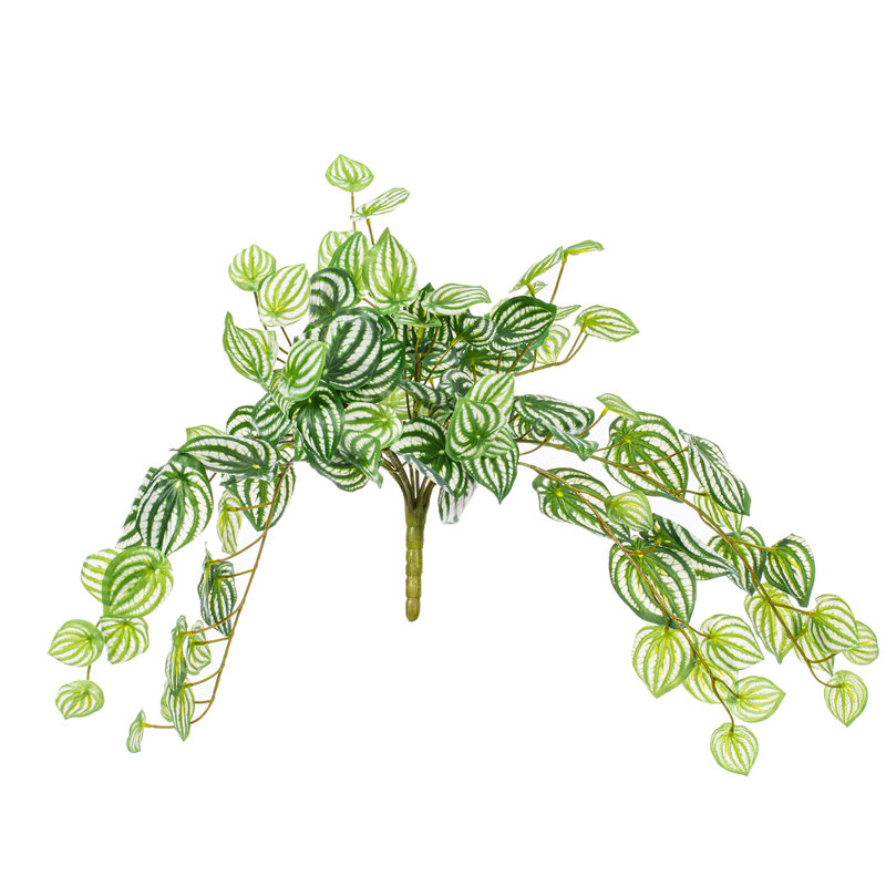  25" Artificial Watermelon Peperomia Bush