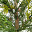 SEASONAL GREENERY TREE S/2 PINE BSKT 2FT