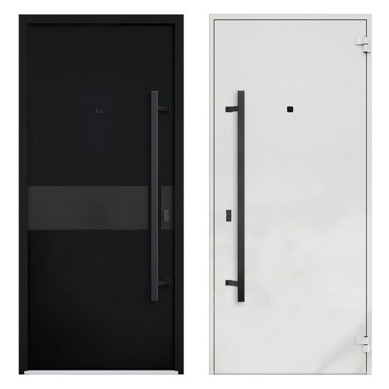 Modern Black Enamel Steel Double Door with Sidelites