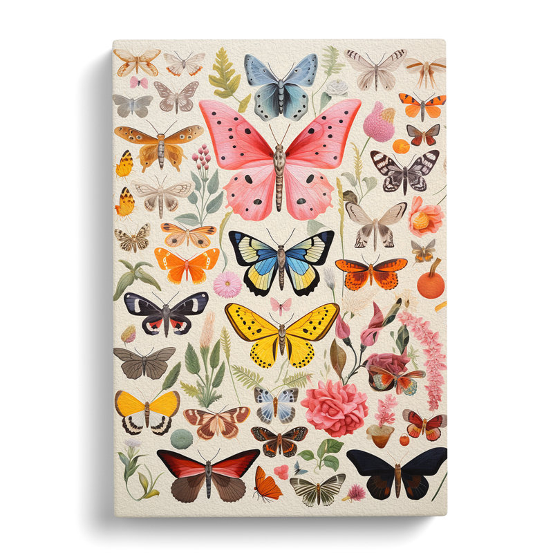 Moth Colour Field - Wrapped Canvas, 76cm H x 50cm W x 3cm D