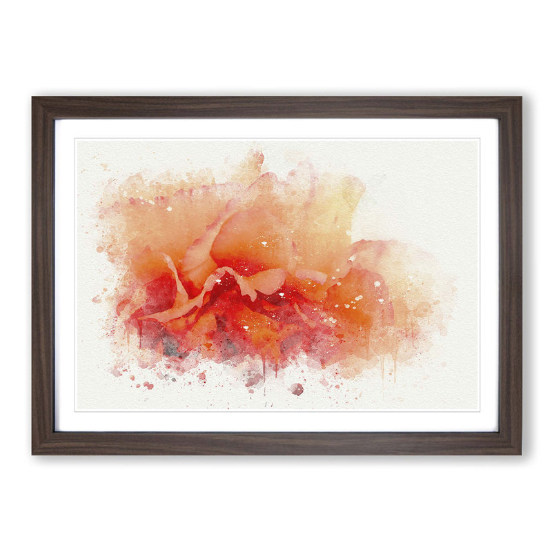 Orange Carnation Flower in Abstract - Picture Frame Graphic Art Print, Walnut Framed, 27cm H x 36cm W x 2cm D