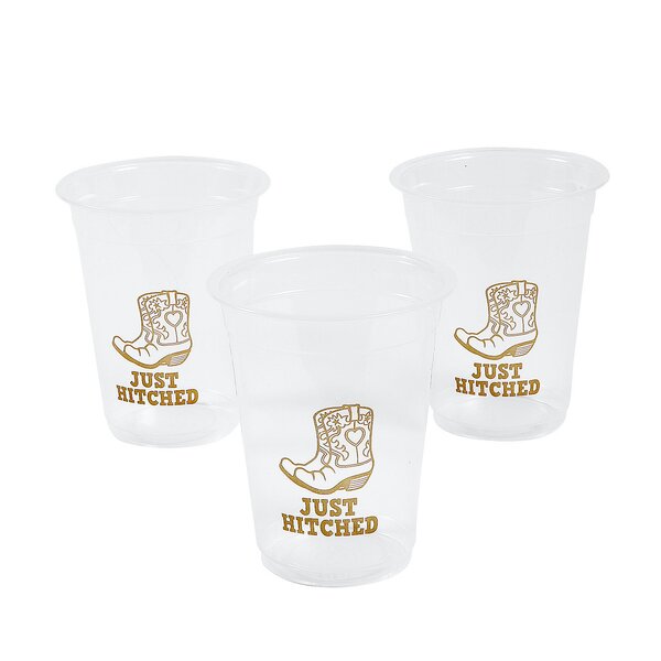 https://assets.wfcdn.com/im/56926912/resize-h600-w600%5Ecompr-r85/1923/192350094/Disposable+Plastic+Wedding+Cups+for+50+Guests.jpg