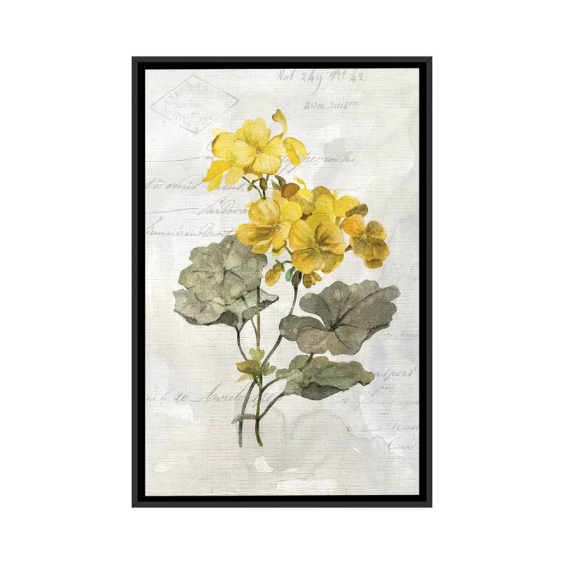 «Canary Linen Geranium» par Carol Robinson - reproduction d'art, Aucun mat, Toile avec cadre noir, H 26 po x l 18 po x 1,5 po