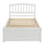 Structure de lit simple avec lit gigogne en bois, blanc-1159044415